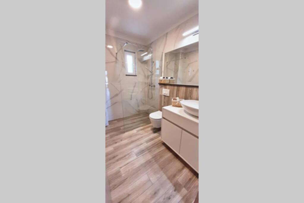 Villa Family Vacation House Zive *